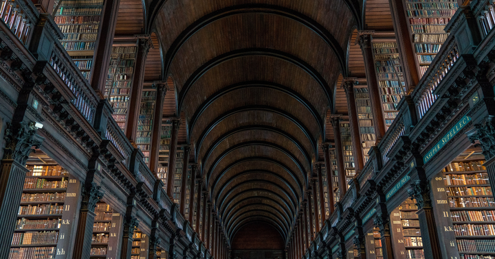 Mysterious-looking library with a vaulted ceiling